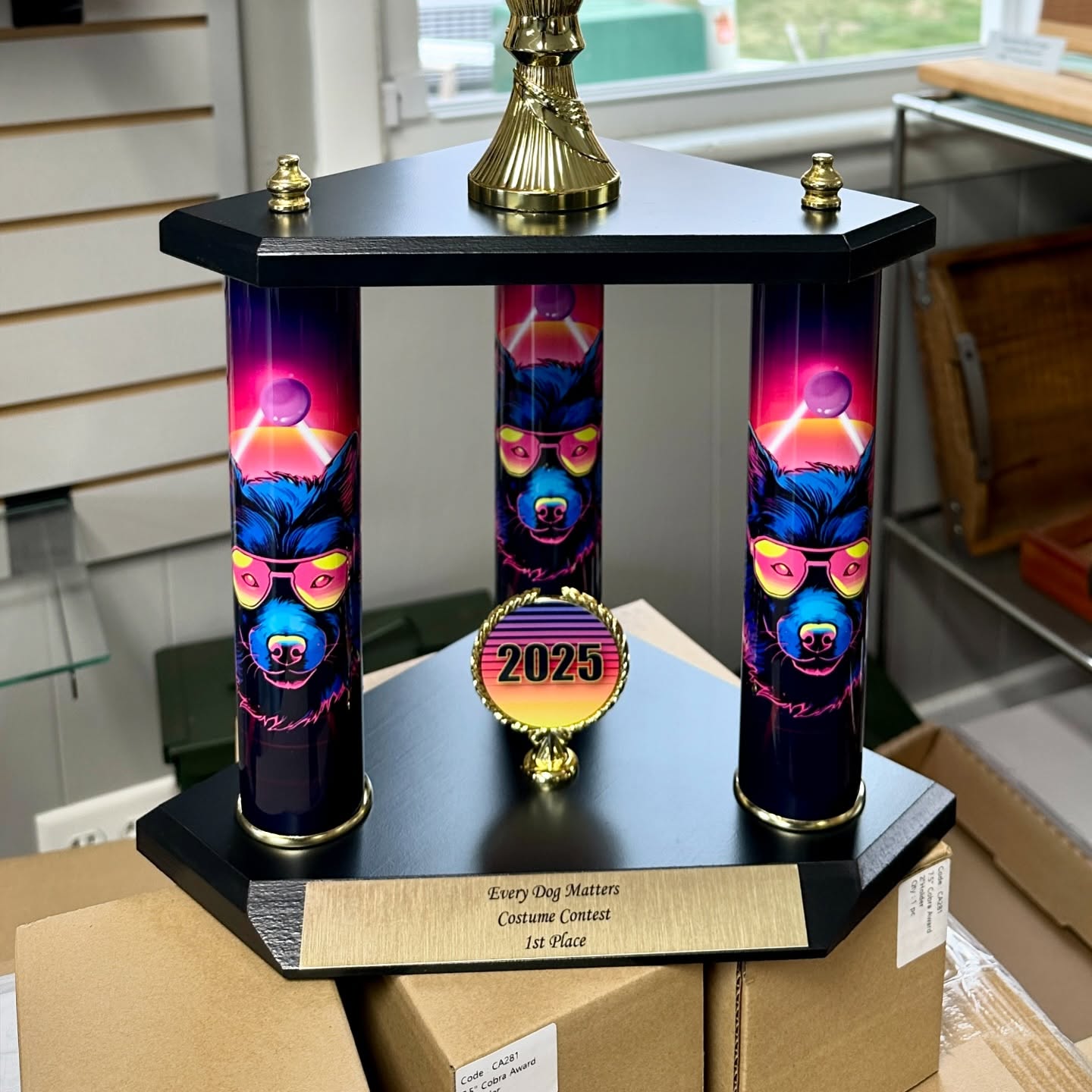 Coolest custom columns ever! #customawards